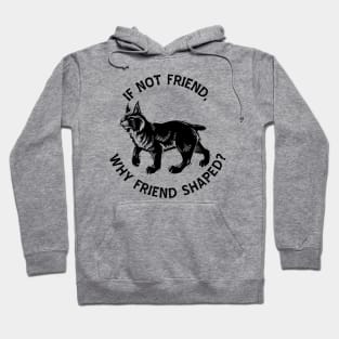 If not friend, why friend shaped? Hoodie